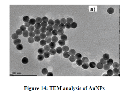 Pharmaceutical-Research-TEM