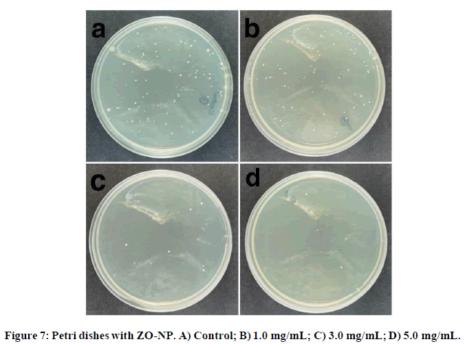 chemical-pharmaceutical-research-Petri