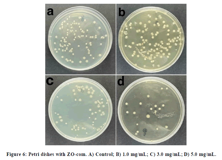 chemical-pharmaceutical-research-dishes