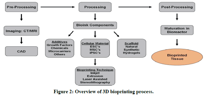 chemical-pharmaceutical-research-process