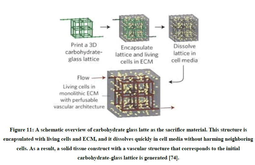 chemical-pharmaceutical-research-sacrifice