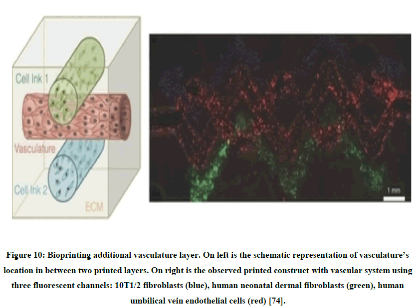 chemical-pharmaceutical-research-vasculature